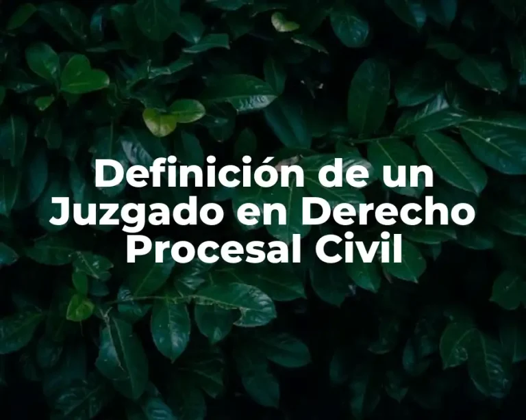 Definición de un Juzgado en Derecho Procesal Civil