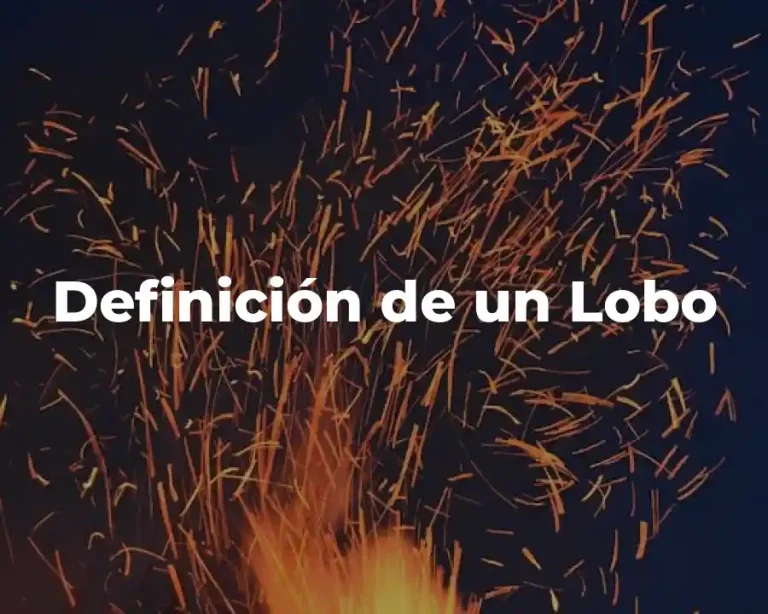 Definición de un Lobo