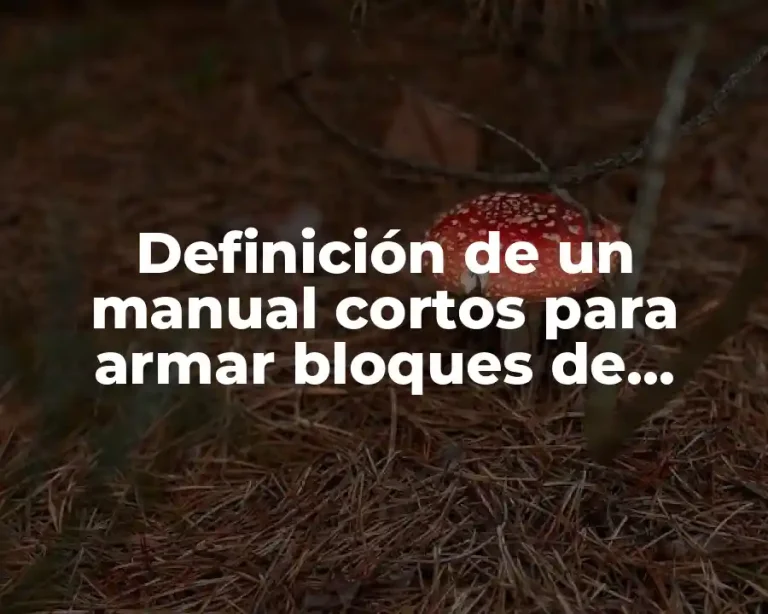 Definición de un manual cortos para armar bloques de juegos
