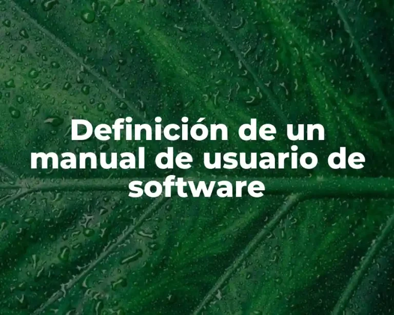 Definición de un manual de usuario de software