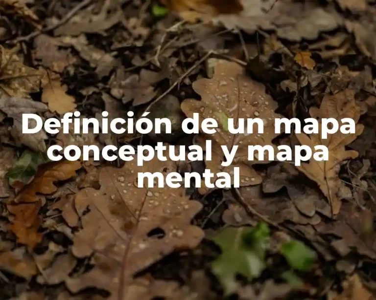 Definición de un mapa conceptual y mapa mental
