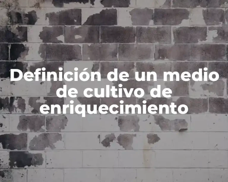 Definición de un medio de cultivo de enriquecimiento