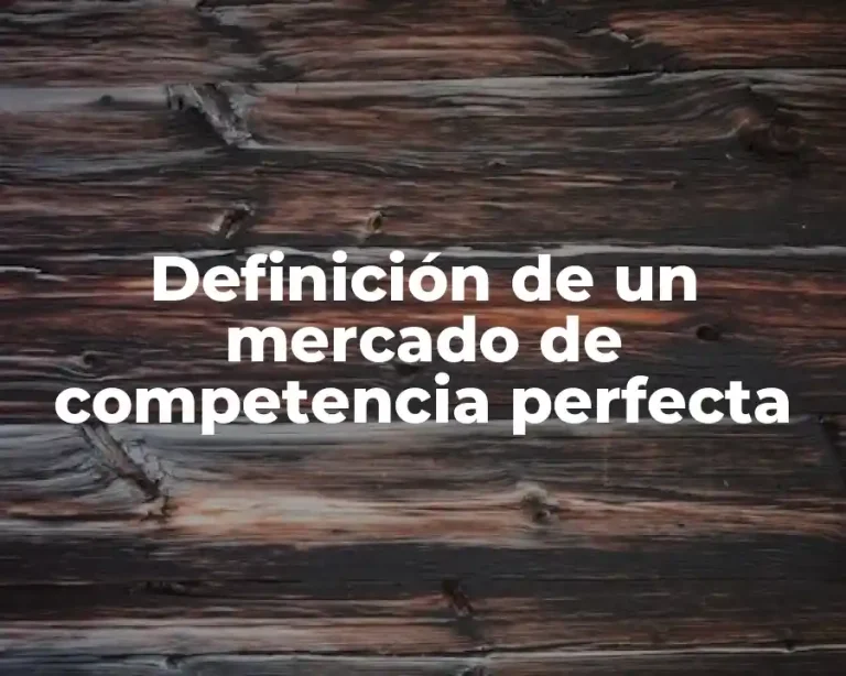 Definición de un mercado de competencia perfecta