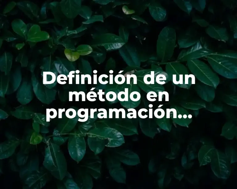Definición de un método en programación orientada a objetos