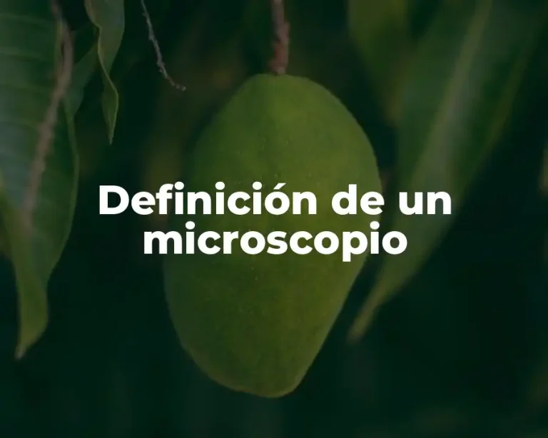 Definición de un microscopio