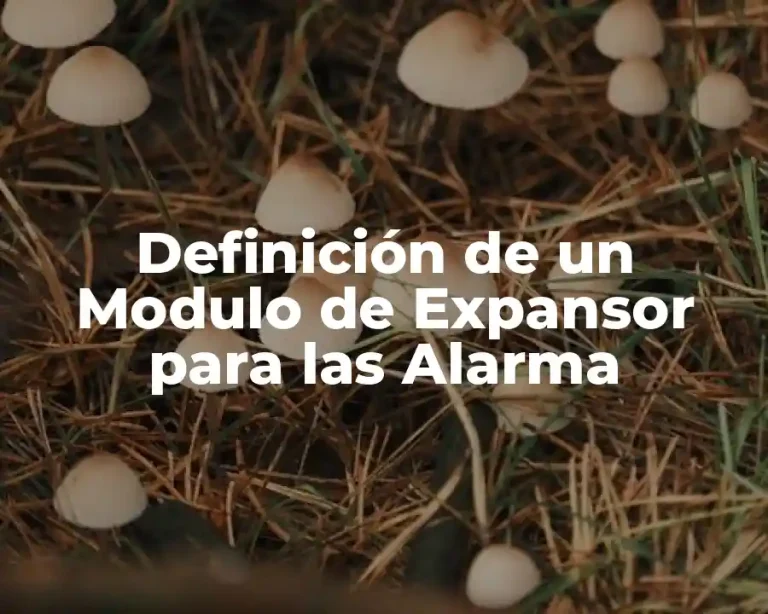 Definición de un Modulo de Expansor para las Alarma
