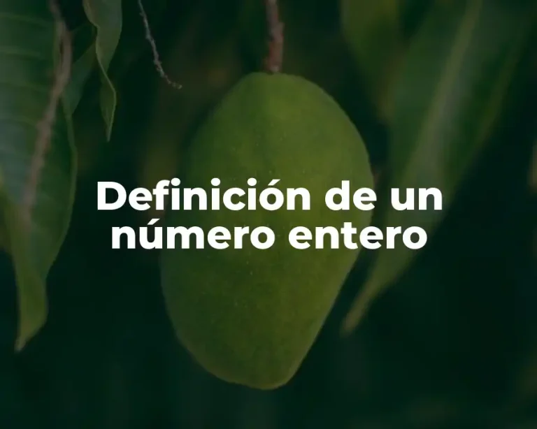 Definición de un número entero