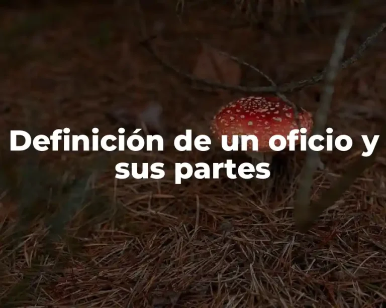 Definición de un oficio y sus partes