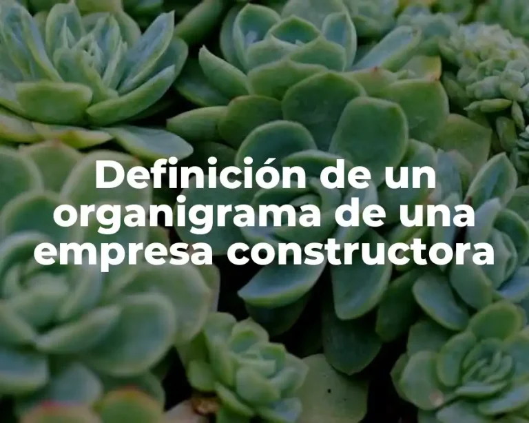 Definición de un organigrama de una empresa constructora