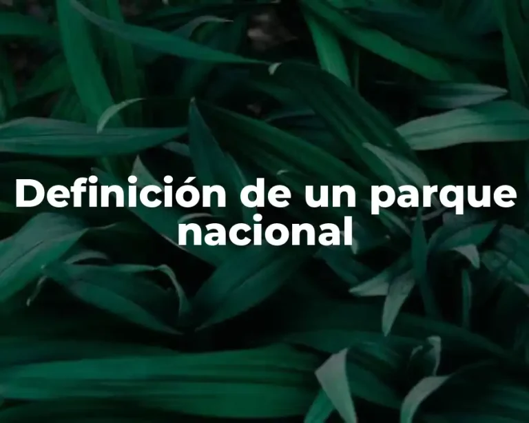 Definición de un parque nacional
