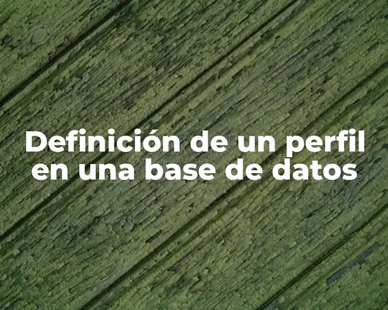 Definición de un perfil en una base de datos