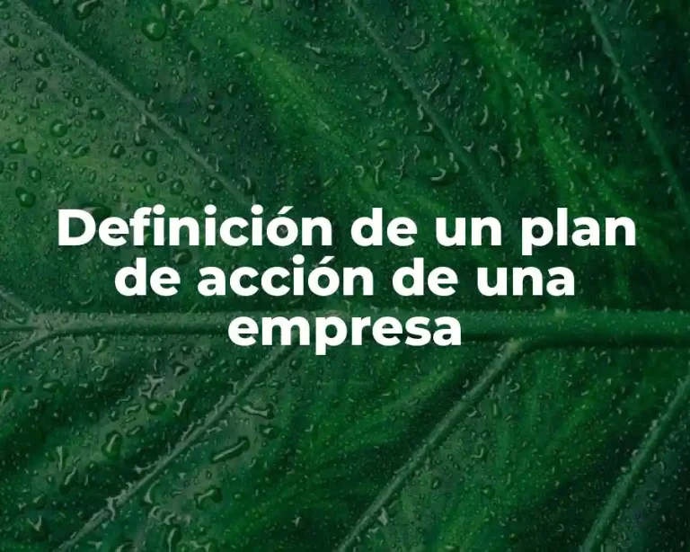 Definición de un plan de acción de una empresa