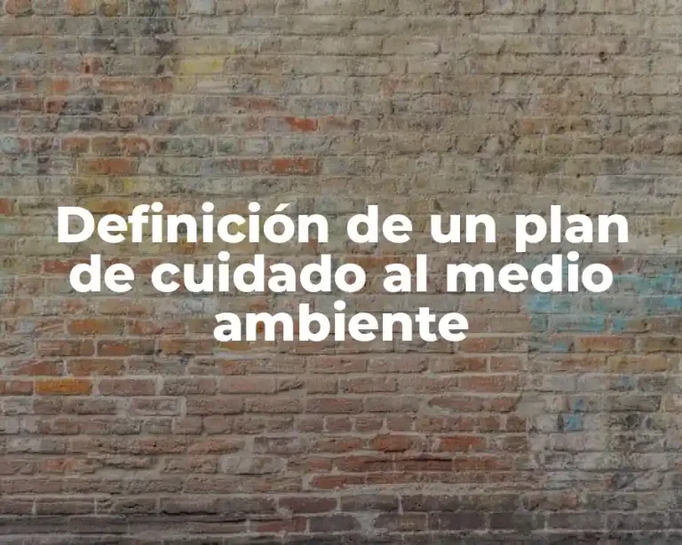 Definición de un plan de cuidado al medio ambiente