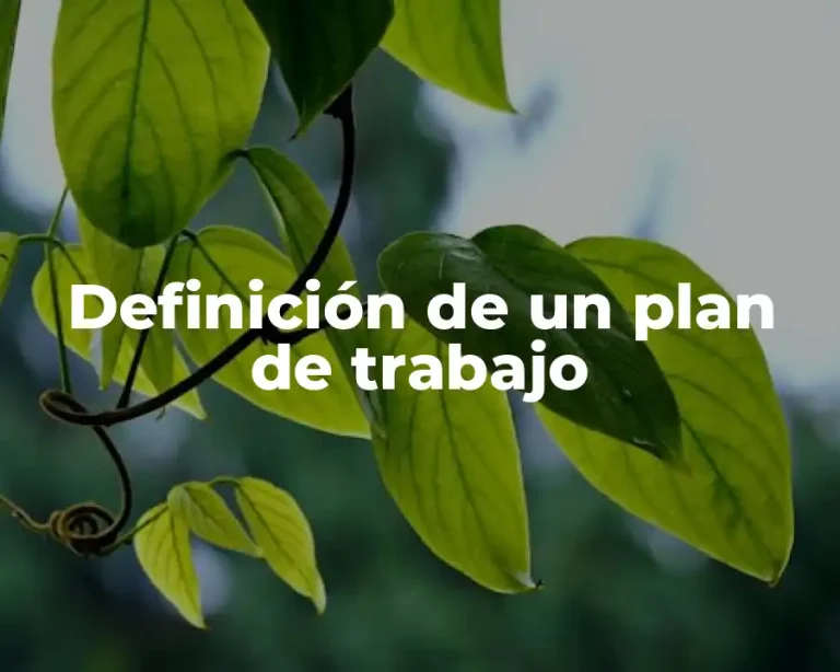 Definición de un plan de trabajo