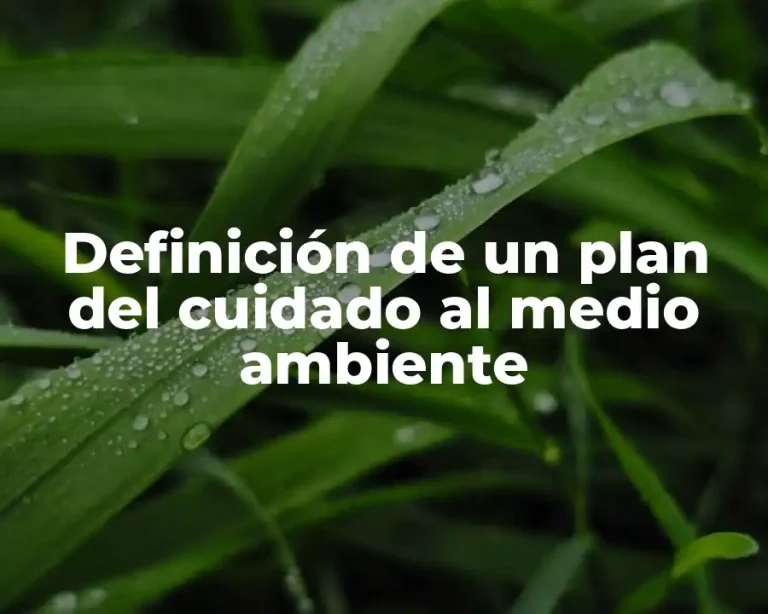 Definición de un plan del cuidado al medio ambiente