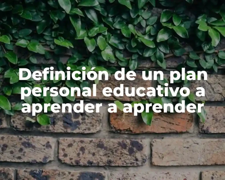Definición de un plan personal educativo a aprender a aprender