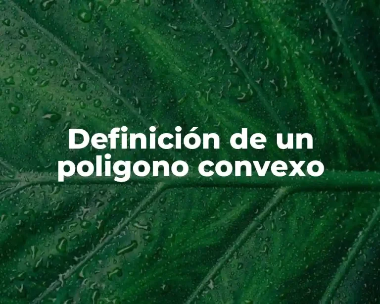 Definición de un poligono convexo