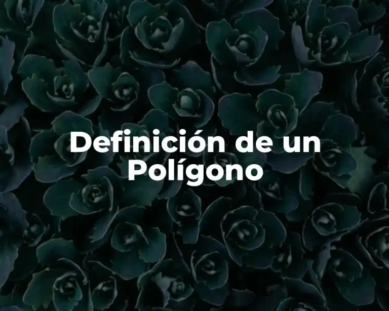 Definición de un Polígono