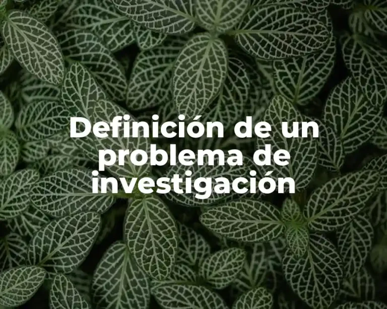 Definición de un problema de investigación