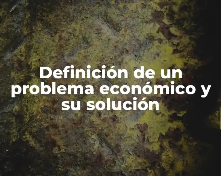 Definición de un problema económico y su solución