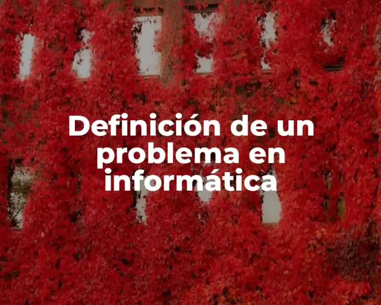 Definición de un problema en informática
