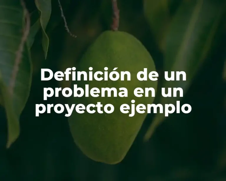 Definición de un problema en un proyecto ejemplo