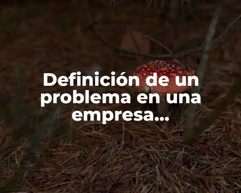 Definición de un problema en una empresa microfinanciera