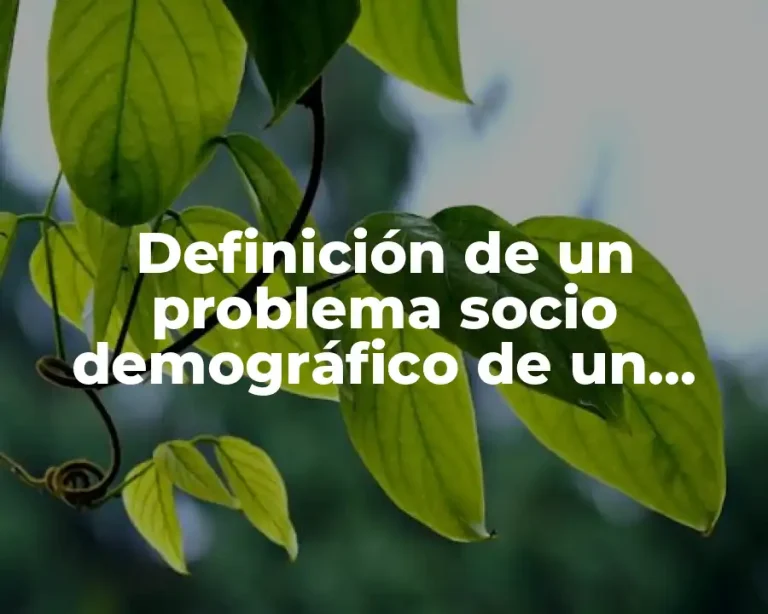 Definición de un problema socio demográfico de un docente