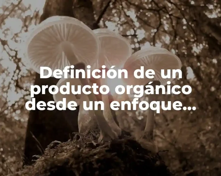 Definición de un producto orgánico desde un enfoque químico