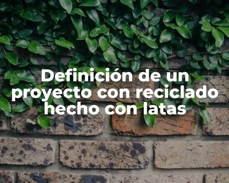 Definición de un proyecto con reciclado hecho con latas