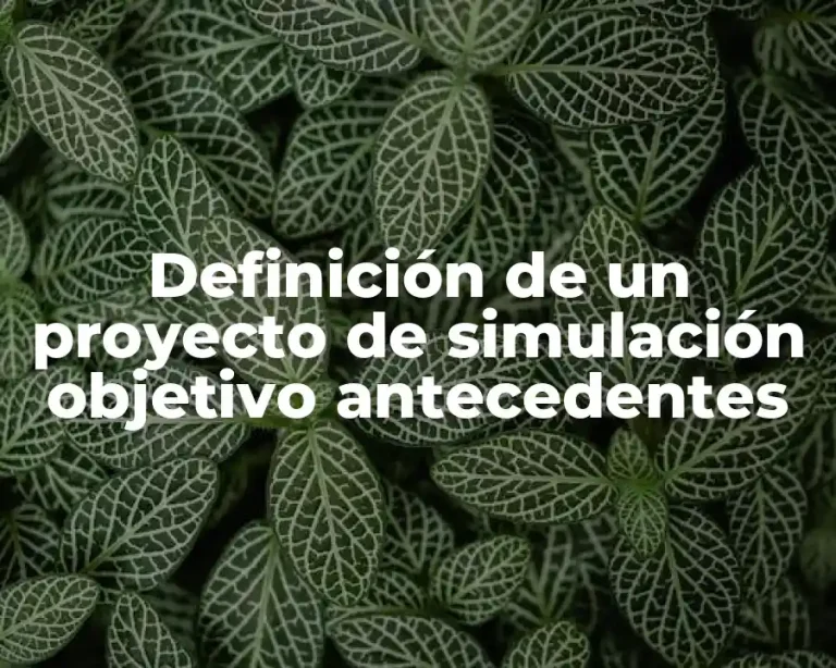 Definición de un proyecto de simulación objetivo antecedentes