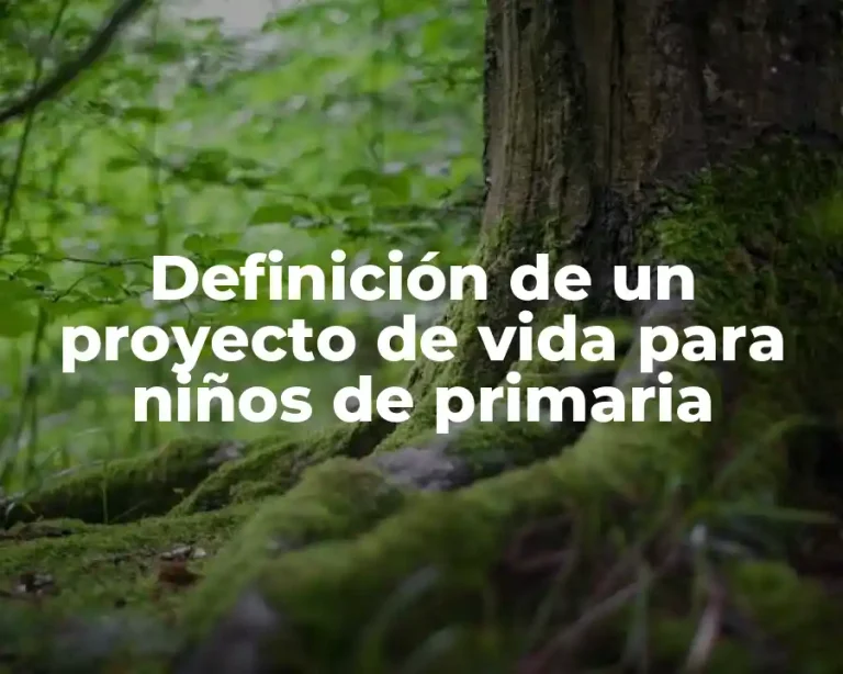 Definición de un proyecto de vida para niños de primaria