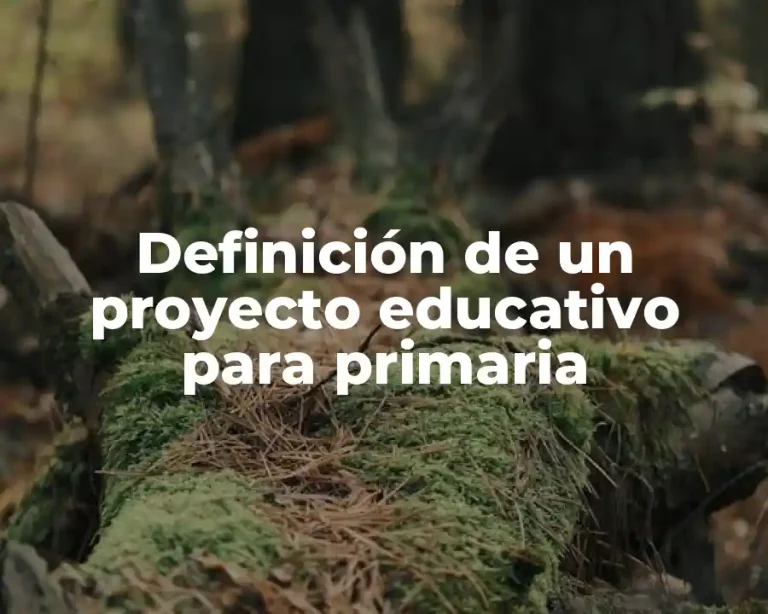Definición de un proyecto educativo para primaria