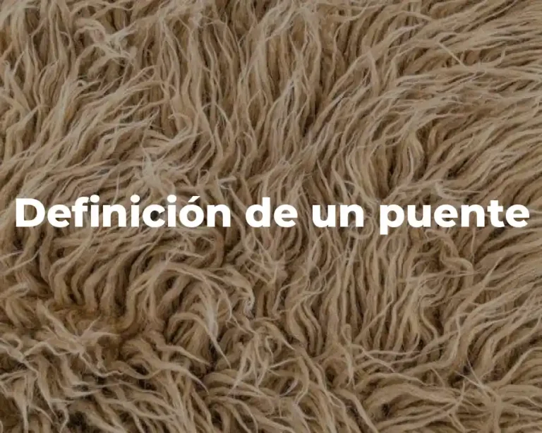 Definición de un puente