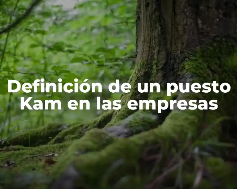 Definición de un puesto Kam en las empresas