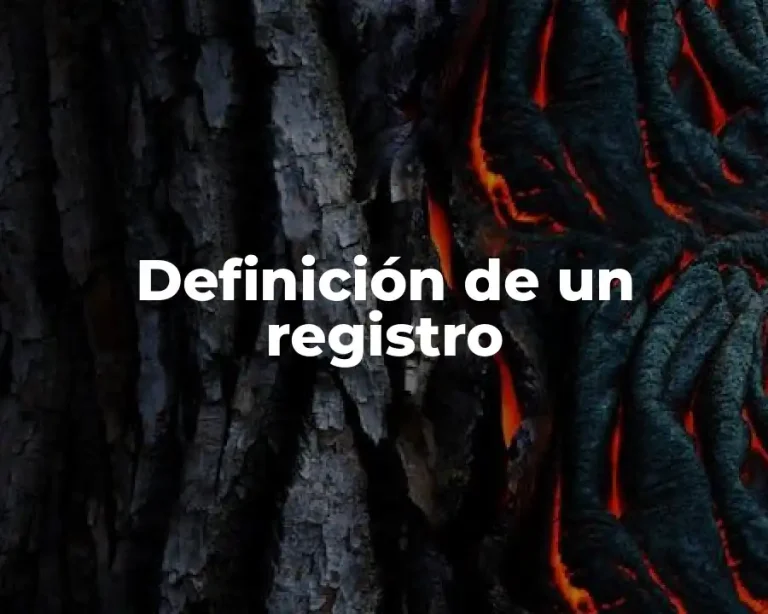 Definición de un registro