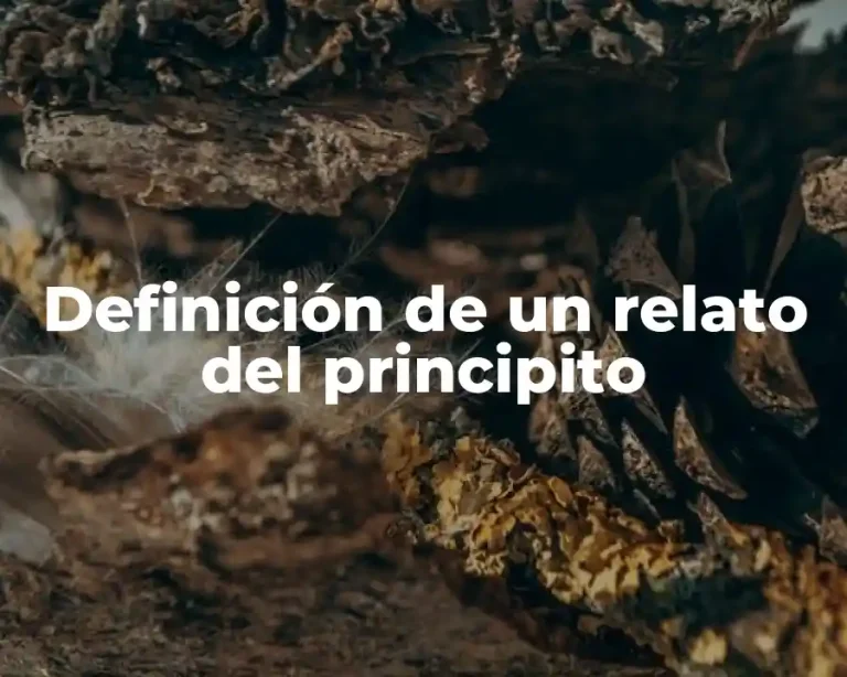 Definición de un relato del principito