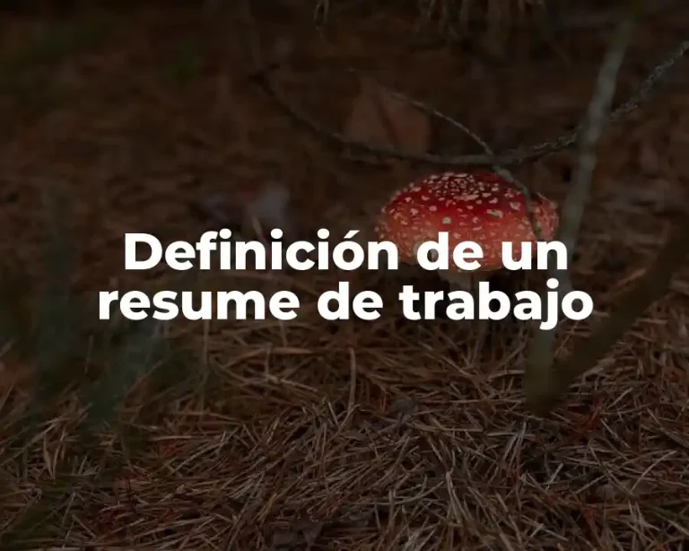 Definición de un resume de trabajo