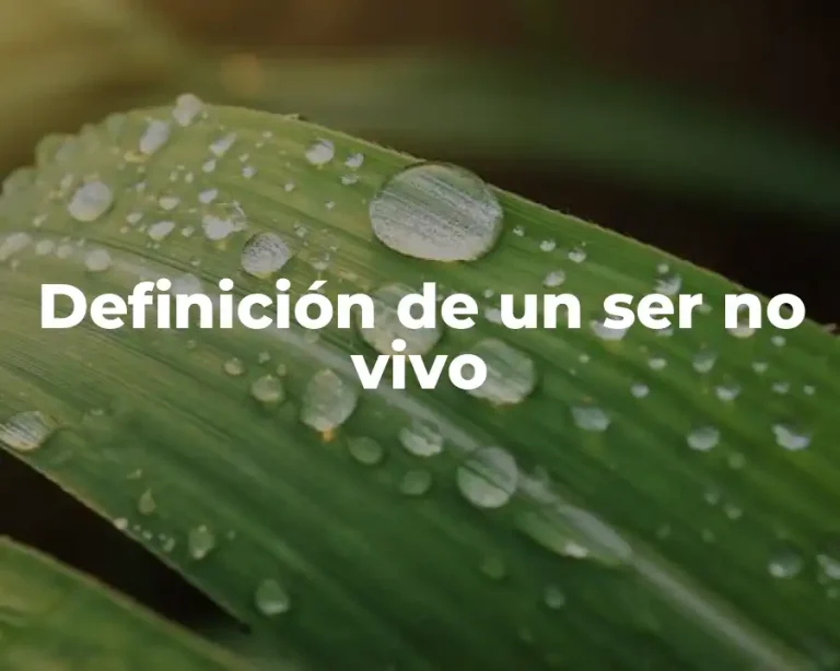 Definición de un ser no vivo