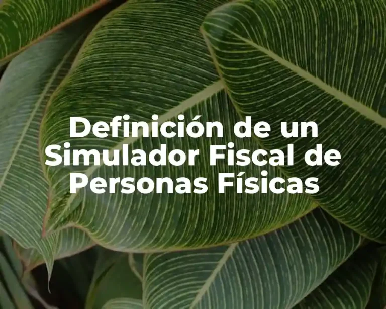 Definición de un Simulador Fiscal de Personas Físicas
