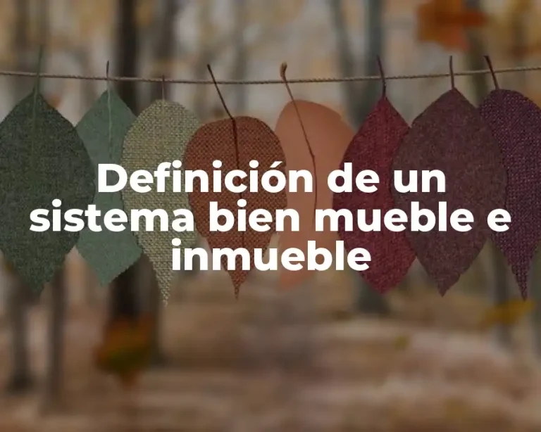 Definición de un sistema bien mueble e inmueble