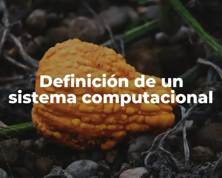 Definición de un sistema computacional