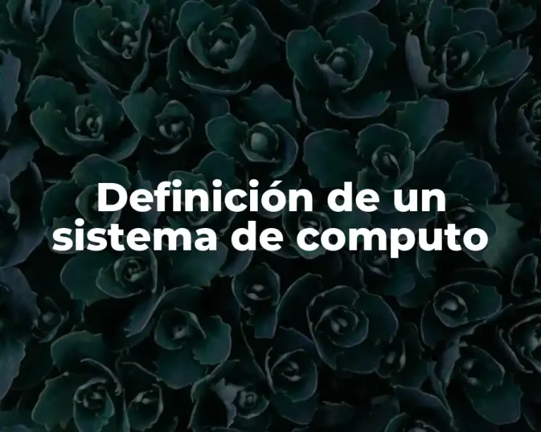 Definición de un sistema de computo