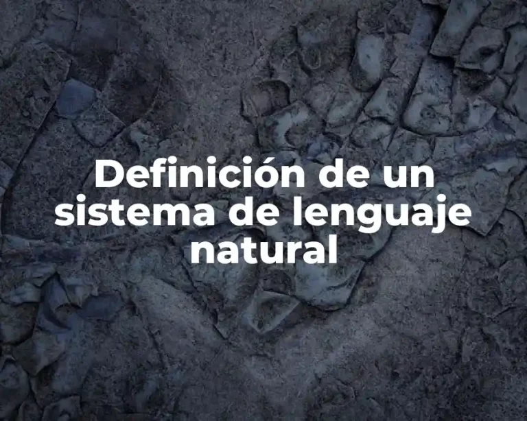 Definición de un sistema de lenguaje natural
