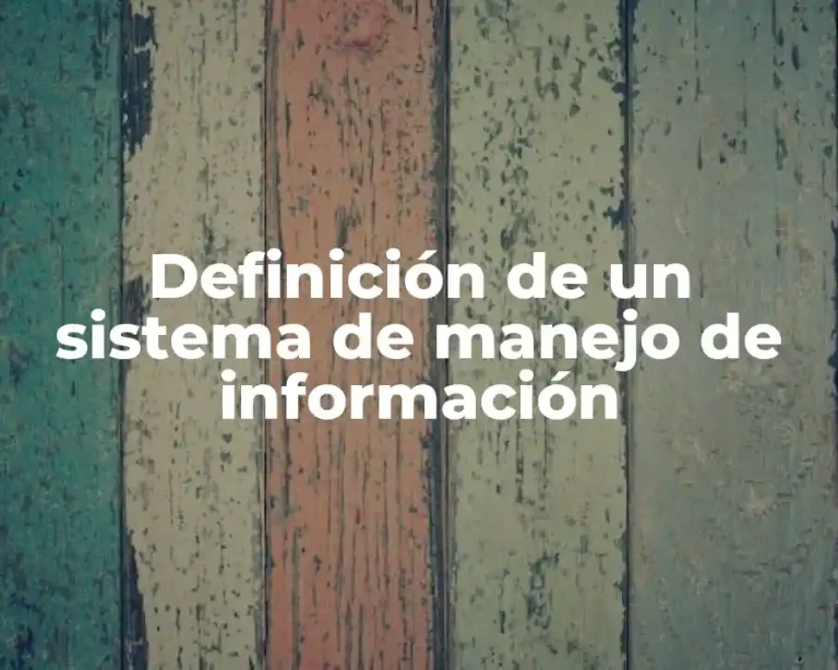 Definición de un sistema de manejo de información