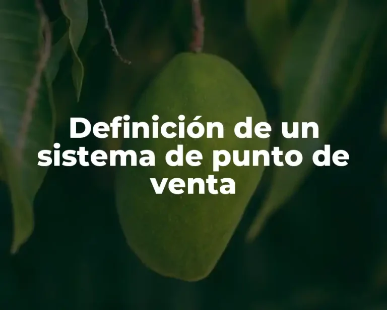 Definición de un sistema de punto de venta