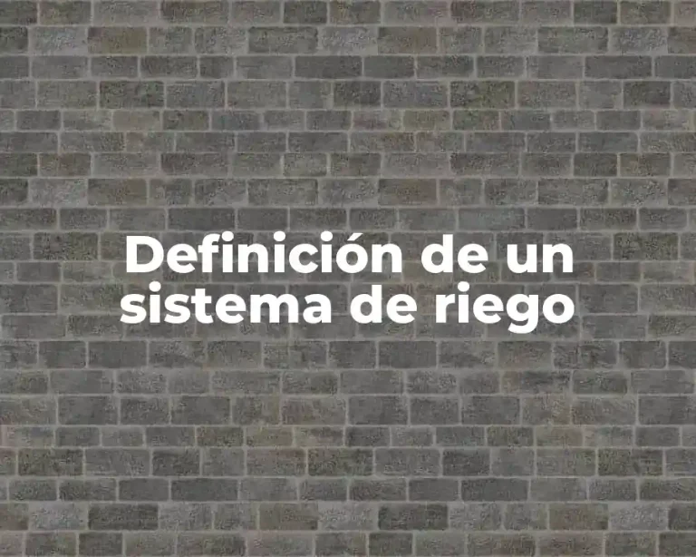 Definición de un sistema de riego