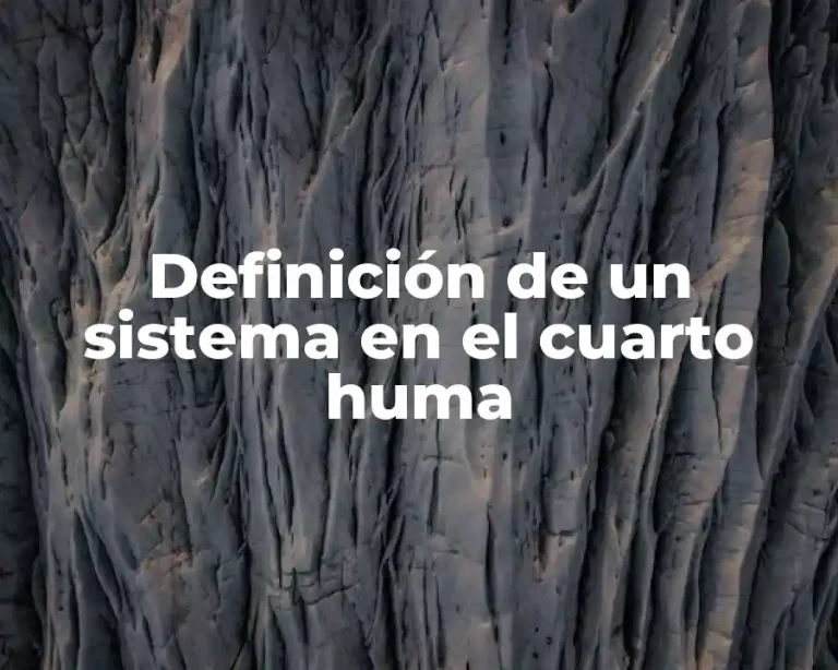 Definición de un sistema en el cuarto huma