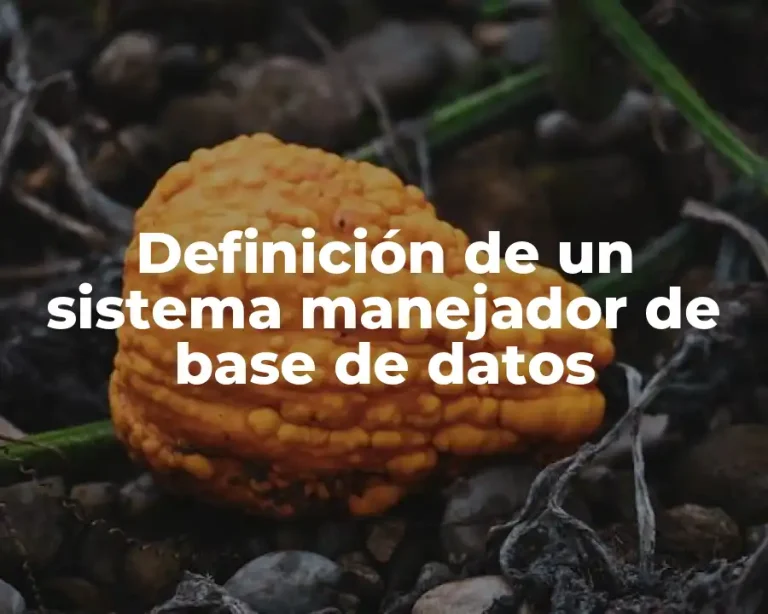 Definición de un sistema manejador de base de datos