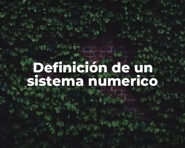 Definición de un sistema numerico